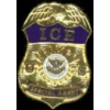 US IMMIGRATION AND CUSTOMS ENFORCEMENT ICE SPECIAL AGENT BADGE PIN